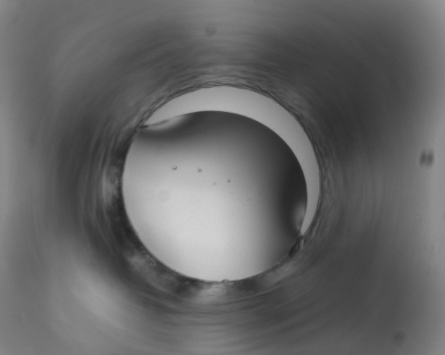 X0000112750382200909171232