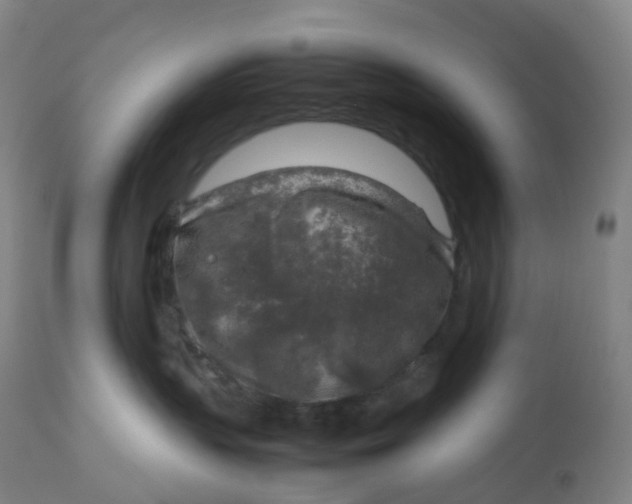 X0000112750383200909171232