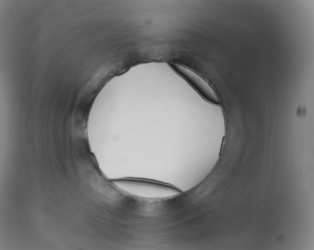 X0000112750384200909171232