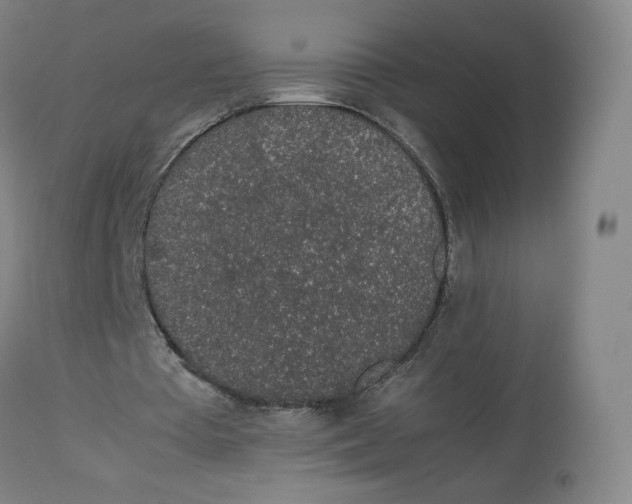 X0000112750385200909171231