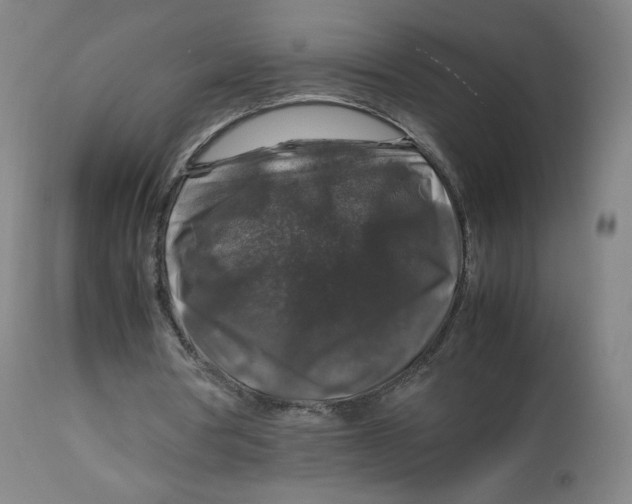 X0000112750386200909171231