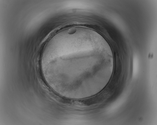 X0000112750387200909171231