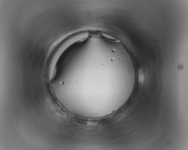 X0000112750388200909171231