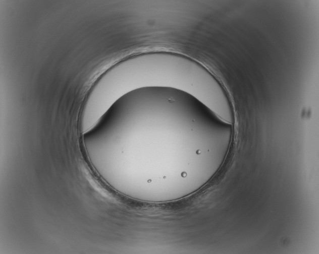 X0000112750389200909171231