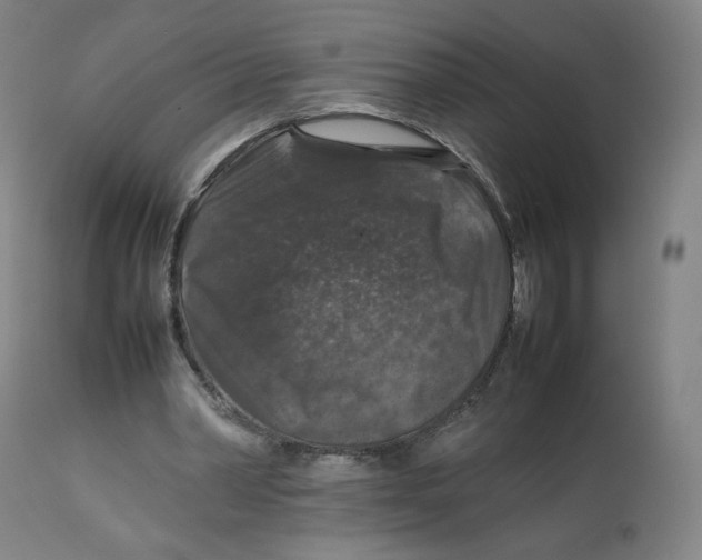 X0000112750390200909171231