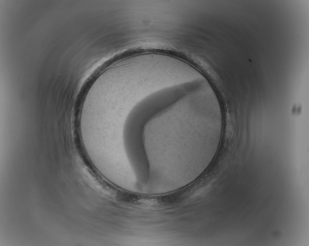 X0000112750391200909171231