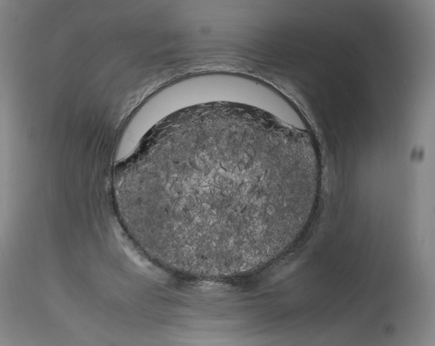X0000112750393200909171231