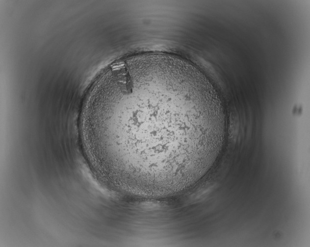 X0000112750394200909171231