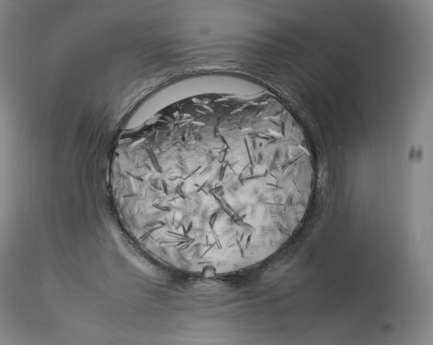 X0000112750397200909171231
