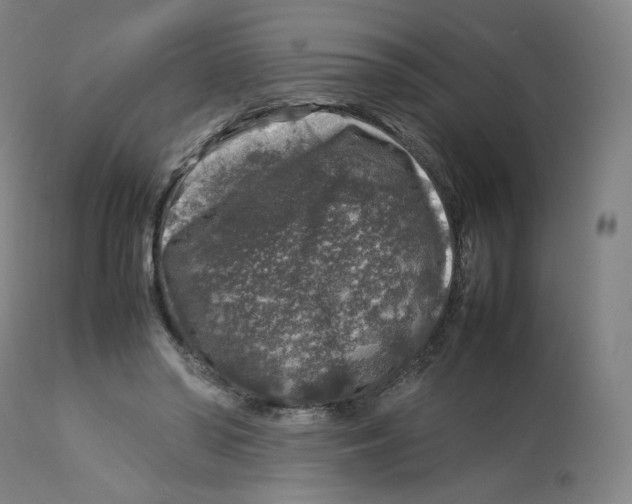 X0000112750398200909171231