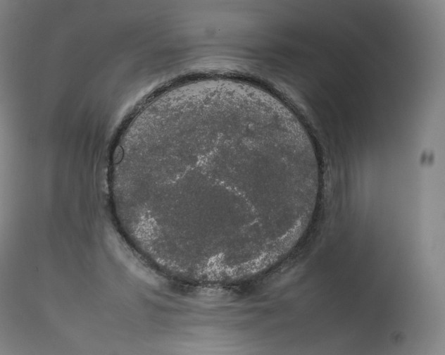 X0000112750399200909171231