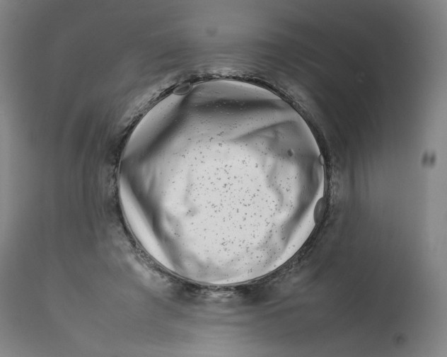 X0000112750401200909171231