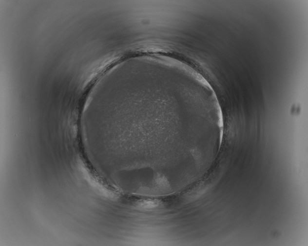 X0000112750402200909171231