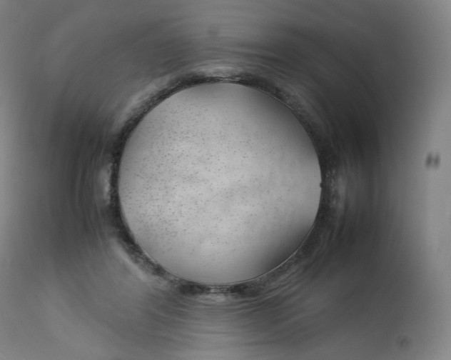 X0000112750404200909171231