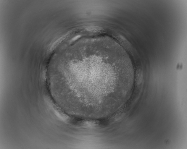 X0000112750405200909171231