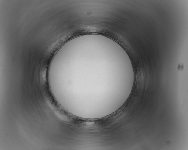 X0000112750406200909171231