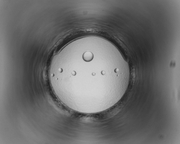 X0000112750408200909171231