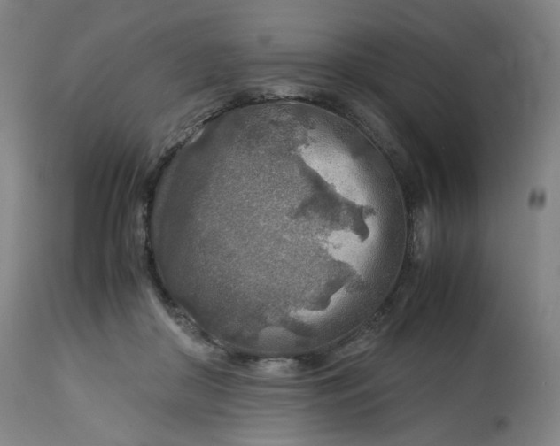 X0000112750410200909171231