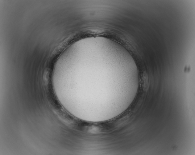 X0000112750412200909171231