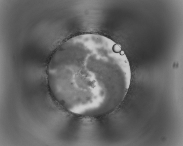 X0000112750415200909171231