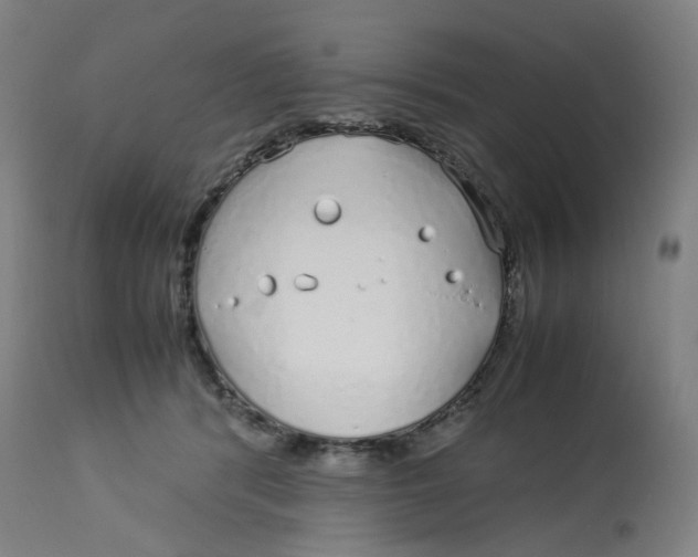 X0000112750416200909171231