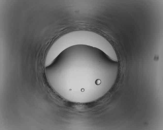 X0000112750417200909171231