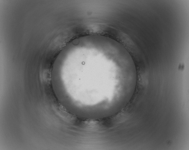 X0000112750419200909171231