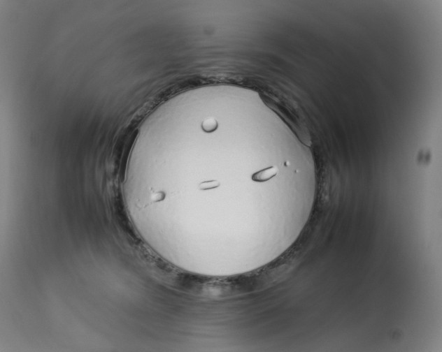 X0000112750420200909171231