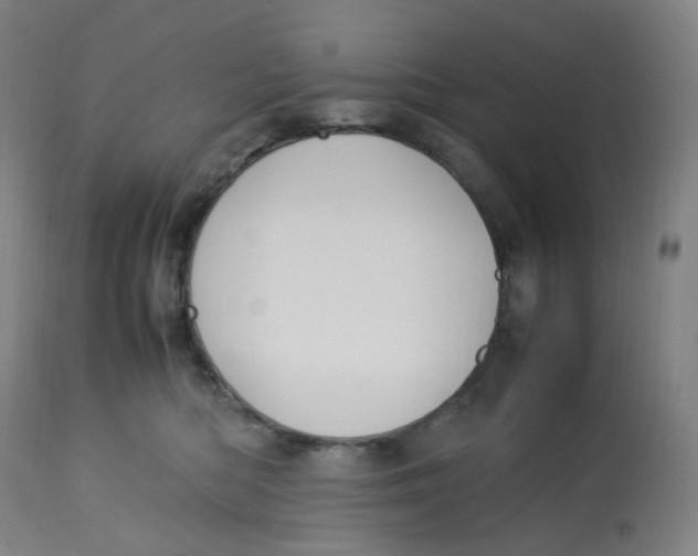 X0000112750422200909171231