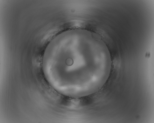 X0000112750423200909171231