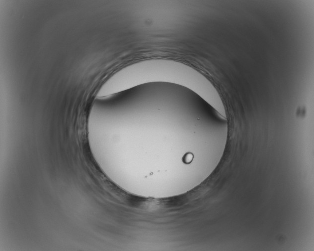 X0000112750425200909171231