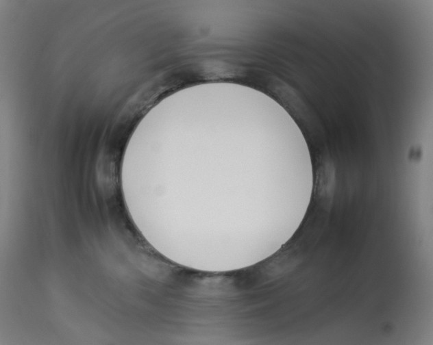 X0000112750426200909171231