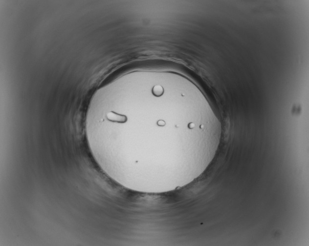 X0000112750428200909171231