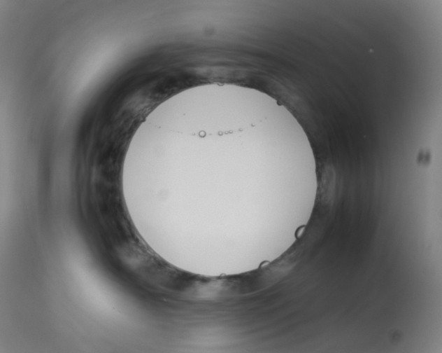 X0000112750430200909171231