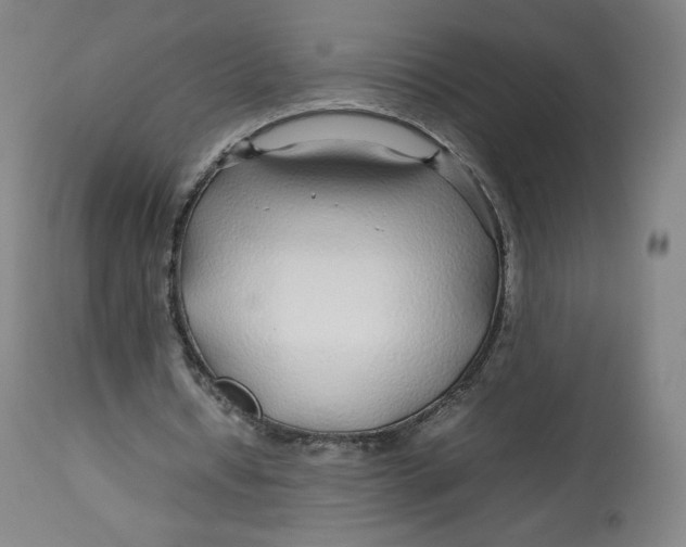 X0000112750434200909171230