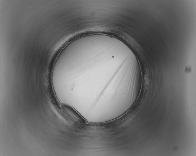 X0000112750436200909171230