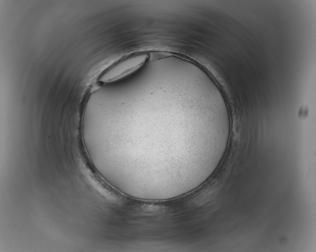 X0000112750437200909171230