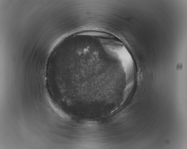 X0000112750438200909171230