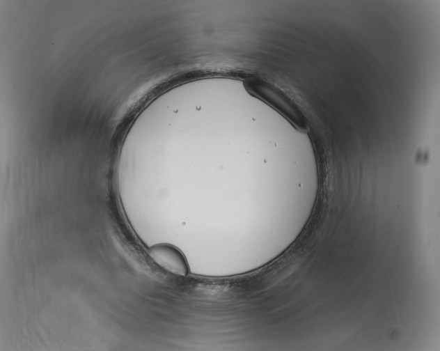 X0000112750440200909171230