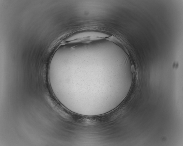 X0000112750442200909171230