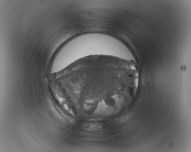 X0000112750443200909171230