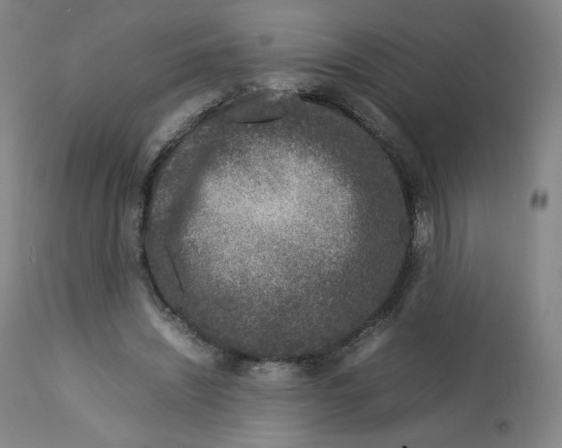 X0000112750444200909171230