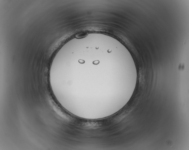 X0000112750445200909171230