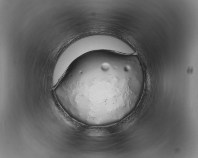 X0000112750449200909171230