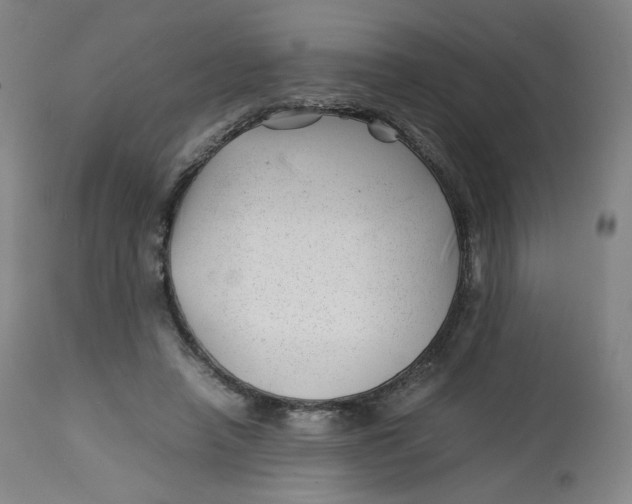 X0000112750450200909171230