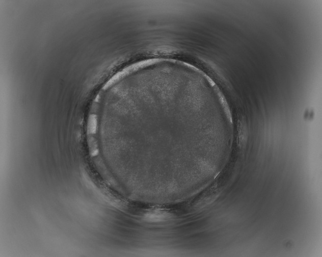 X0000112750451200909171230