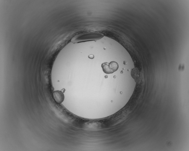 X0000112750452200909171230