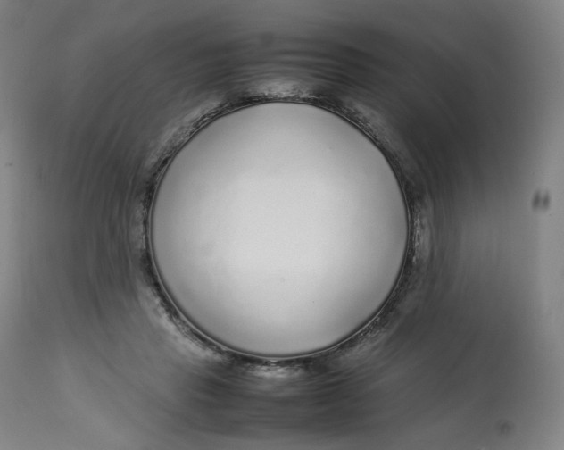 X0000112750453200909171230