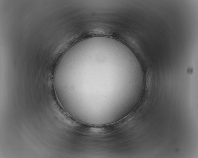 X0000112750457200909171230