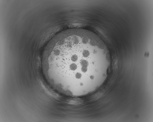 X0000112750459200909171230